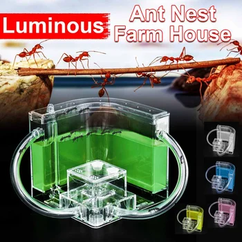 

Luminous Ant Nest Tube Ant Farm House Insect Feeding Cage Acrylic Living Box Terrarium Feeding Area Ant Nest Ants Ecological