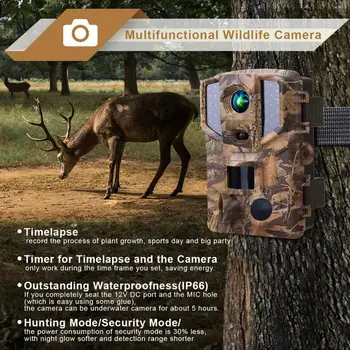 

Hunting Camera PR900 20MP 1080P IP66 32pcs IR LEDs Night Vision PIR Motion Outdoor Wildlife Animal Hunting Video Camcorder