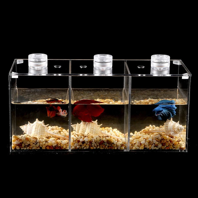Small Betta Fish Tank Acrylic Aquarium Tank Landscaping Tortoise Tanks Home  Office Desk Decorations Fish Bowl - AliExpress