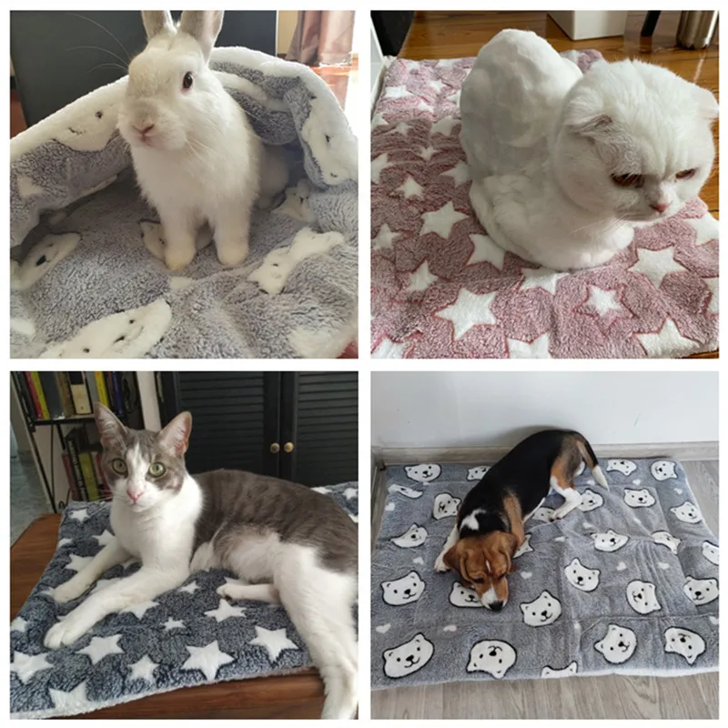 Łóżko dla psa zagęszczony mata dla psa kot domowy miękki polar Pad koc na łóżko mata poduszka do domu zmywalny dywan utrzymuj ciepłe artykuły dla zwierząt cama perro 5 Łóżko dla psa zagęszczony mata dla psa kot domowy miękki polar Pad koc na łóżko mata poduszka do domu zmywalny dywan utrzymuj ciepłe artykuły dla zwierząt cama perro 5