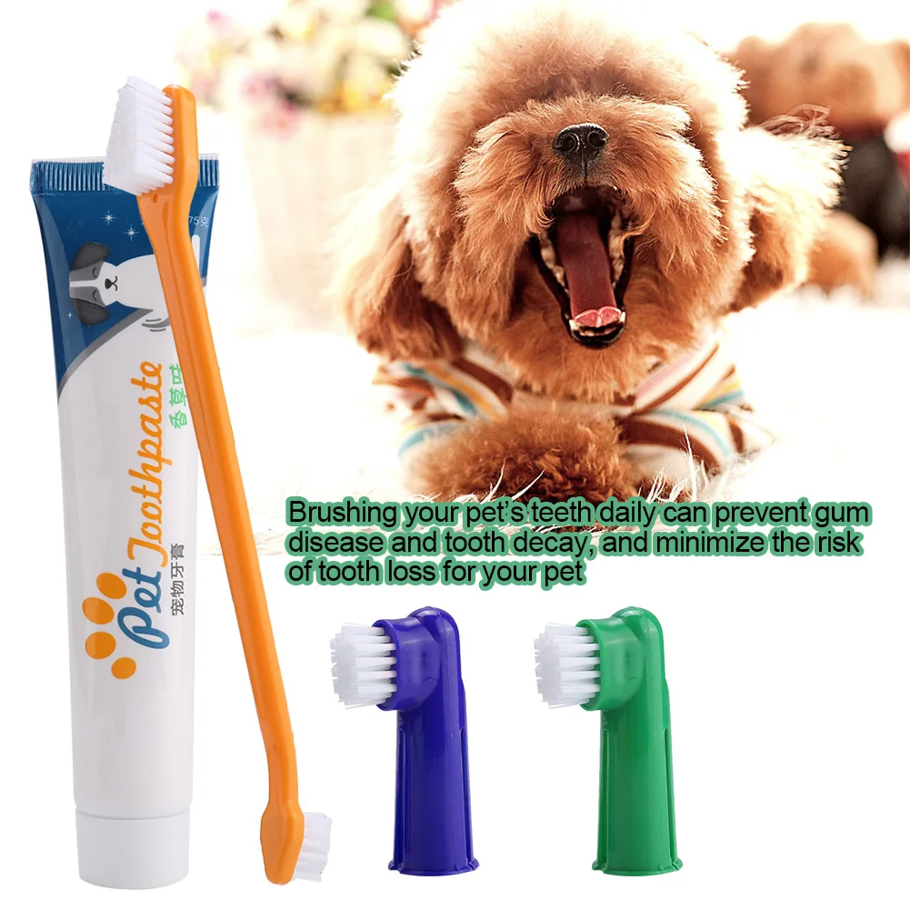 Kit pasta de dente + Escovinhas para Pets