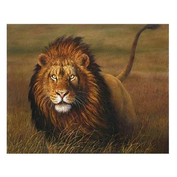 

DIY Paint By Numbers Canvas Oil Painting Kit for Kids & Adults 40 x 50cm Drawing Paintwork Lion-with Frame