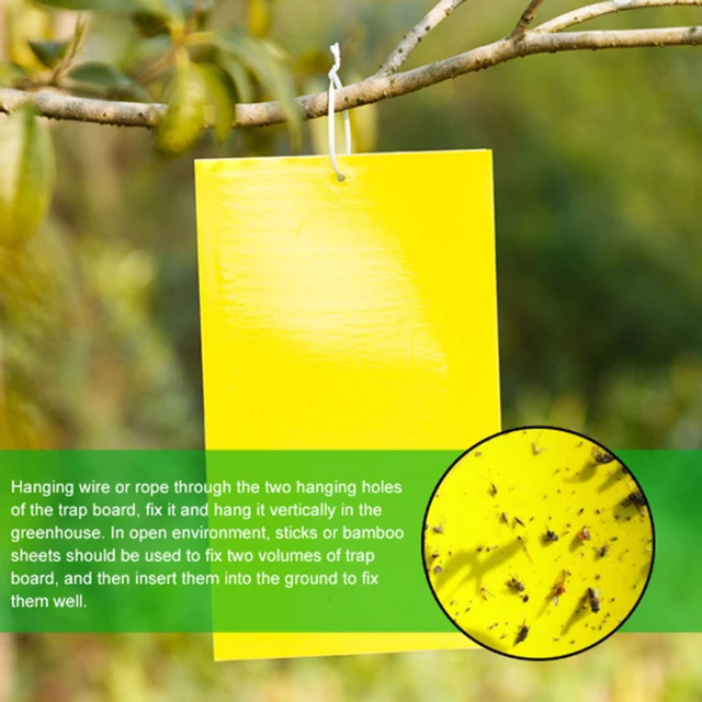 Sticky Fly Trap Paper Yellow Fruit Insect Glue Catcher Mosquito Yard Garden  Pest