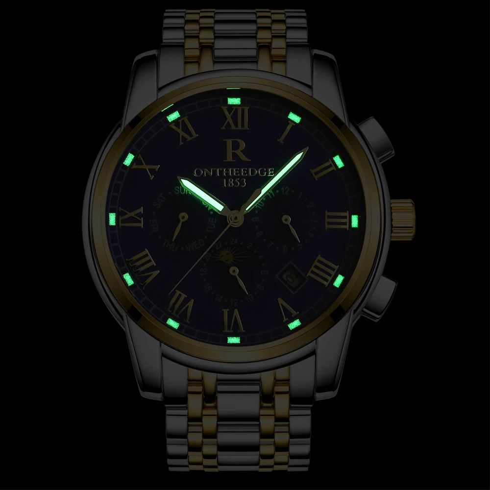 Men Mechanical Watch Japan Movement Waterproof Men Watches Top Brand Automatic Clock (42)