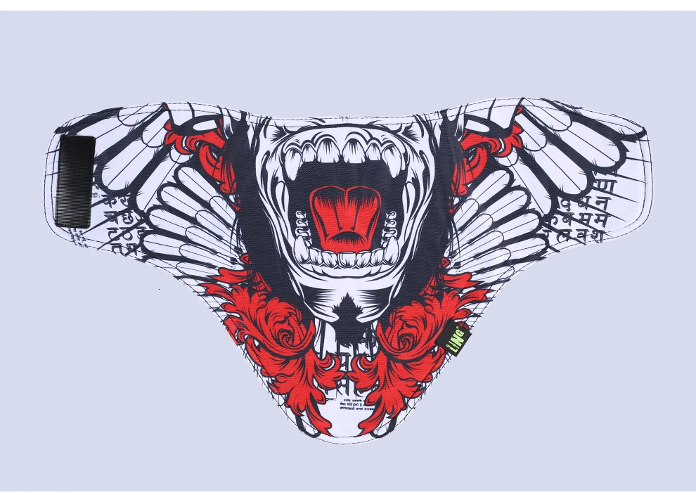 Cycling Ski Face Mask (21)