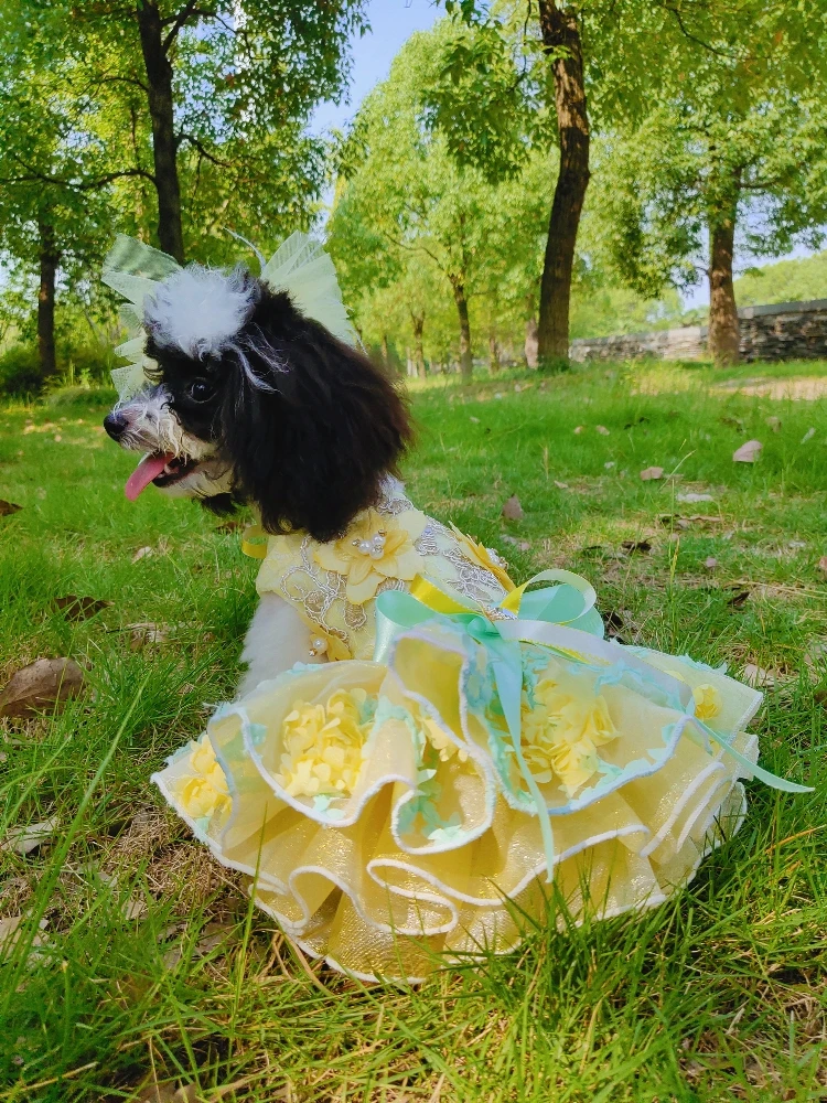 Vestidos para cães