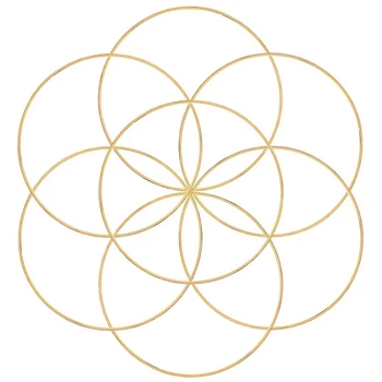 

8Pcs 8 Inches Dream Catcher Rings Metal Hoops Macrame Ring for Crafts and Dream Catcher Supplies, Gold