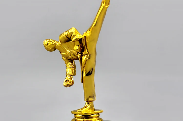 TB2dRFiaU.iyKJjSspdXXbB_pXa_!!12069671