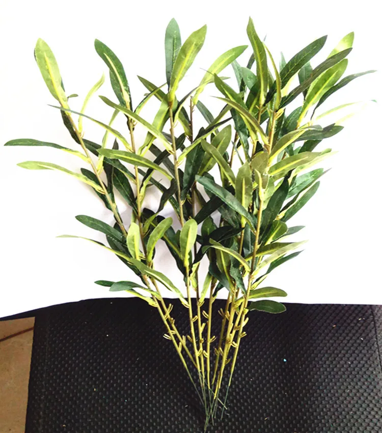 11333646661_1814581953