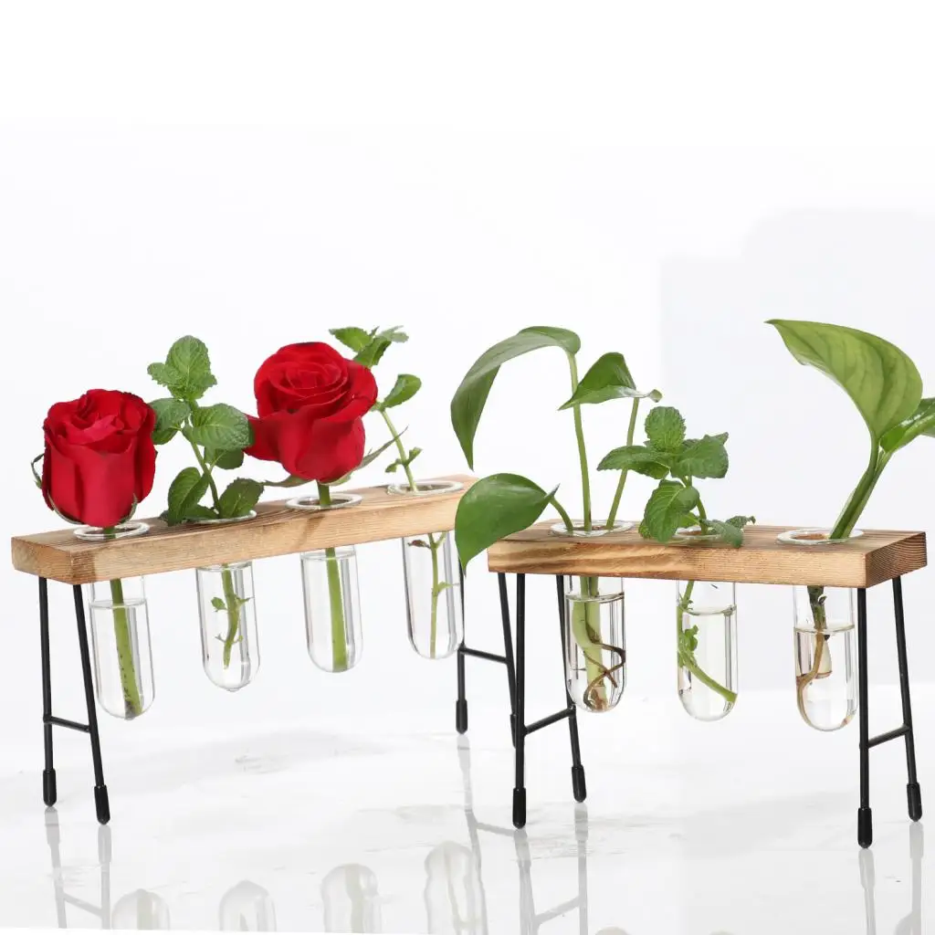 Clear Glass Vase Hanging Plant Terrarium with Retro Solid Wooden Stand for Hydroponics Plants Home Decor