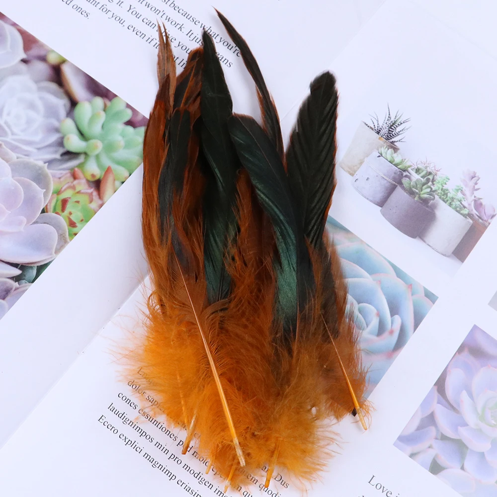 50pcs Bag Rooster Plumes Chicken Decorative Feathers 10 15cm For Diy Jewelry Accessories Decoration Crafts Feather Aliexpress