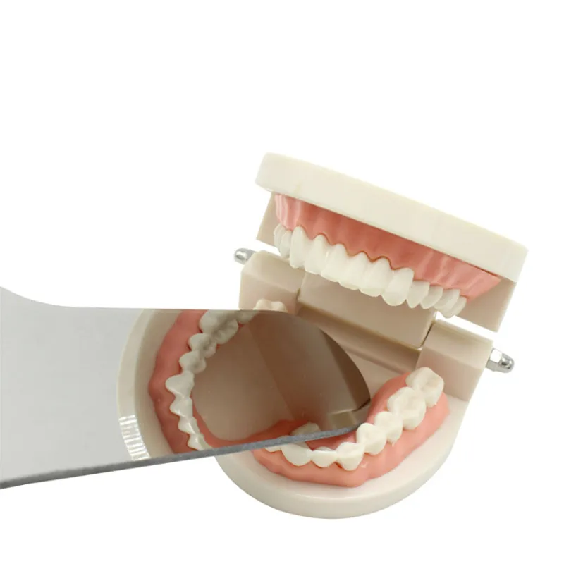 Orthodontie Intra-orale Photographie Réflecteur Dentaire Miroir Léger Pour  Dentiste Clinique