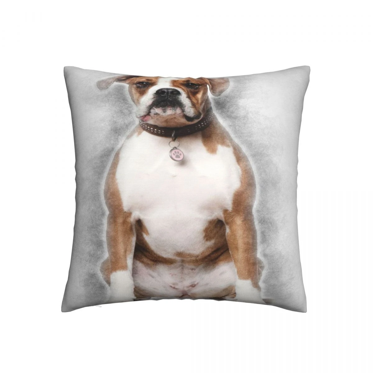 Boxer pillow Clearance