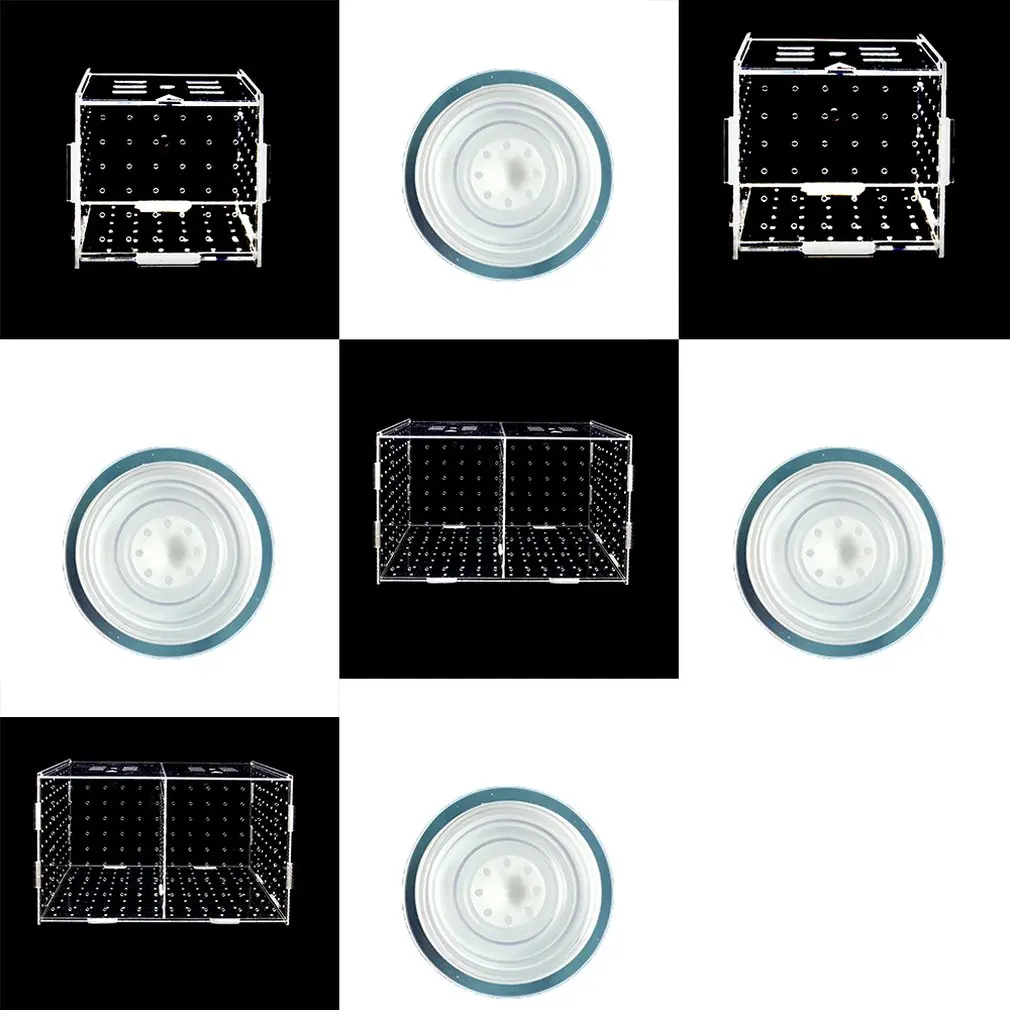 Aquarium Transparent Aquarium Fish Fry Incubator Breeding Box Production Box Single And Double Grid Isolation Network