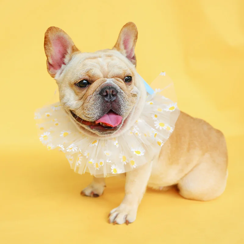 雏菊纱围嘴_0194