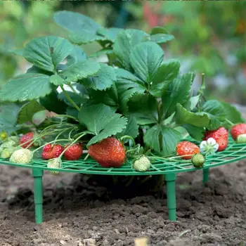 

Plastic Strawberry Stand 5/10/15/20pcs Balcony Planting Rack Fruit Plant Frame Holder Gardening Tool Gardening Plant Hanger