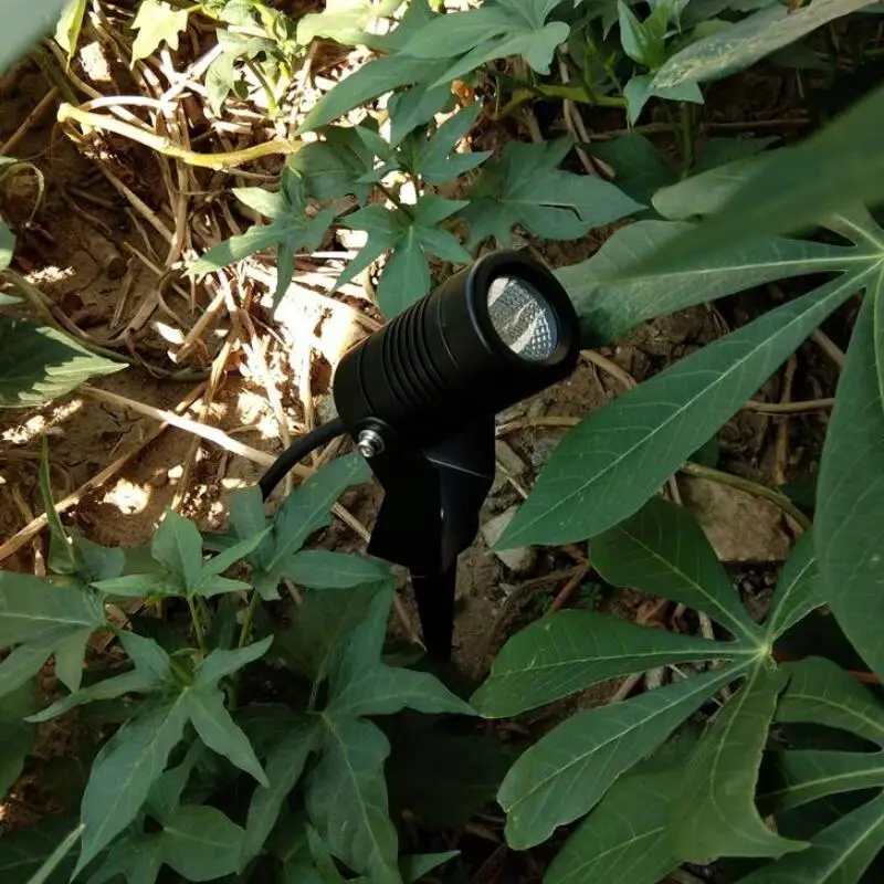 QQ截图20190903112442