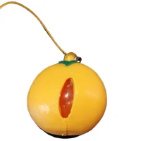 Novelty 