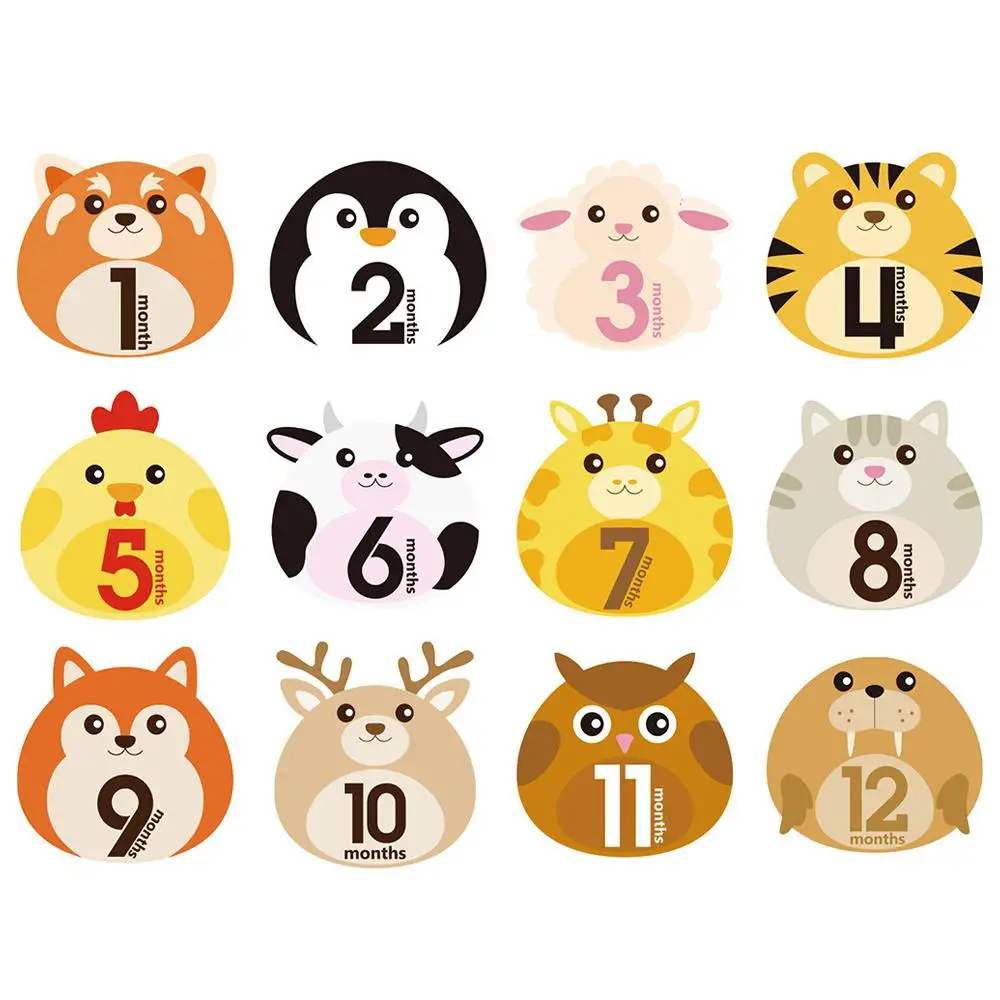 

Baby Pregnant Women Monthly Photograph Sticker Fun Month 1-12 Milestone Stickers