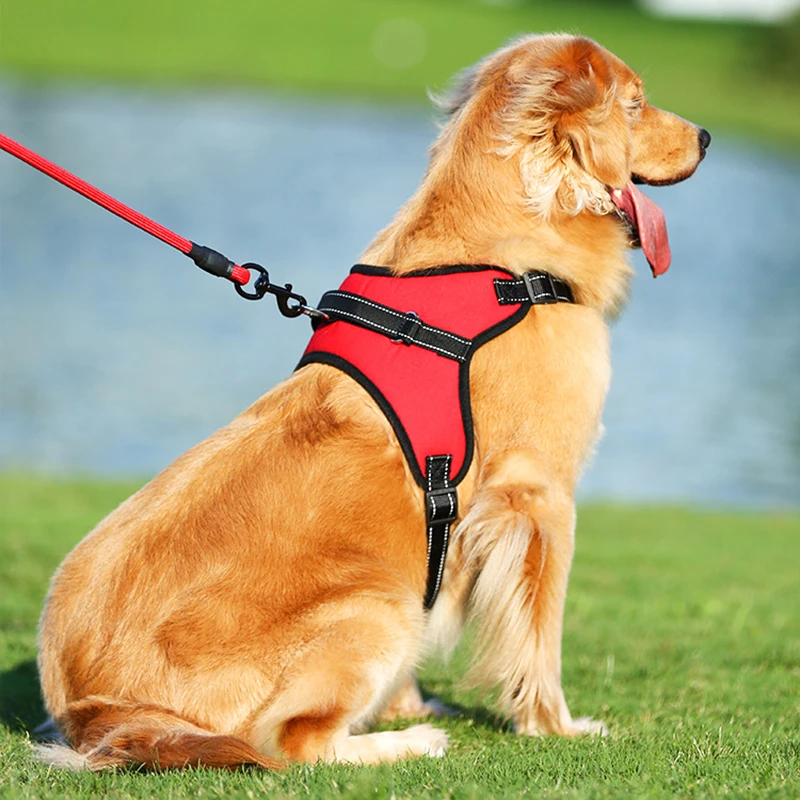 

Dog Traction Rope Pet Harness Breathable vest rope chest strap Dog chain Outdoor Walking Dog Outdoor Walking Collar