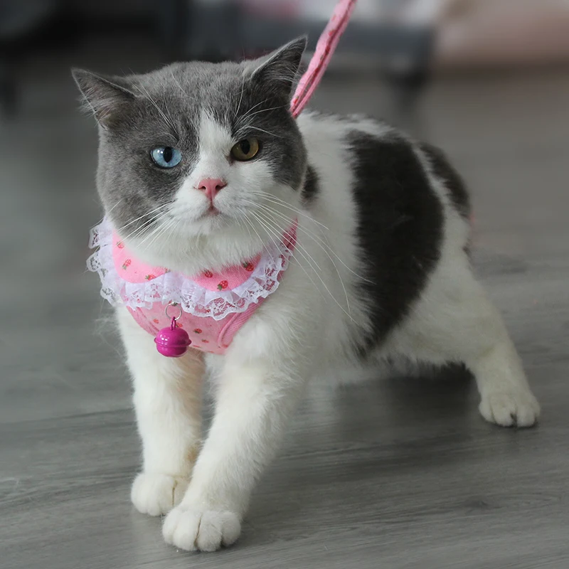 Conjunto de arnés y correa de chaleco para gato, arnés suave y ajustable para perros pequeños y medianos