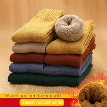 5 пар зимних женских толстых теплых махровых Хлопковых Носков Женские однотонные хлопковые и шерстяные махровые носки женские носки-тапочки