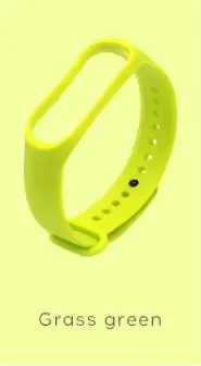 Браслет для Xiao mi band 3 mi Band 4 спортивный ремешок силиконовый ремешок для mi band 3 mi band 4 аксессуары браслет ремешок - Цвет: Grass Green
