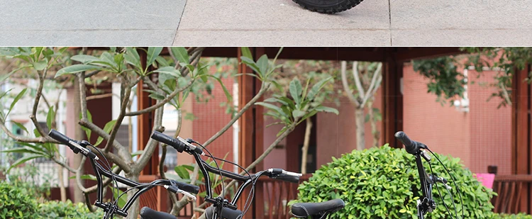 Perfect New Brand Carbon Steel Frame 20 inch Wheel 6 Speed Shift Soft Tail Folding Bicycle Outdoor Sports BMX Bicicleta 39