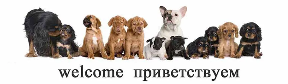 Дождевик для щенков дождевые пальто с капюшоном Светоотражающая водонепроницаемая одежда для собак Мягкая дышащая непромокаемая Одежда для питомцев кошек маленьких собак XS-2XL
