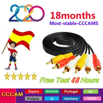 

1 year Warranty egygold cccam cline for Europe 7 lines egygold server Turkey Portugal Spain Germany Italy Poland full HD DVB-S2