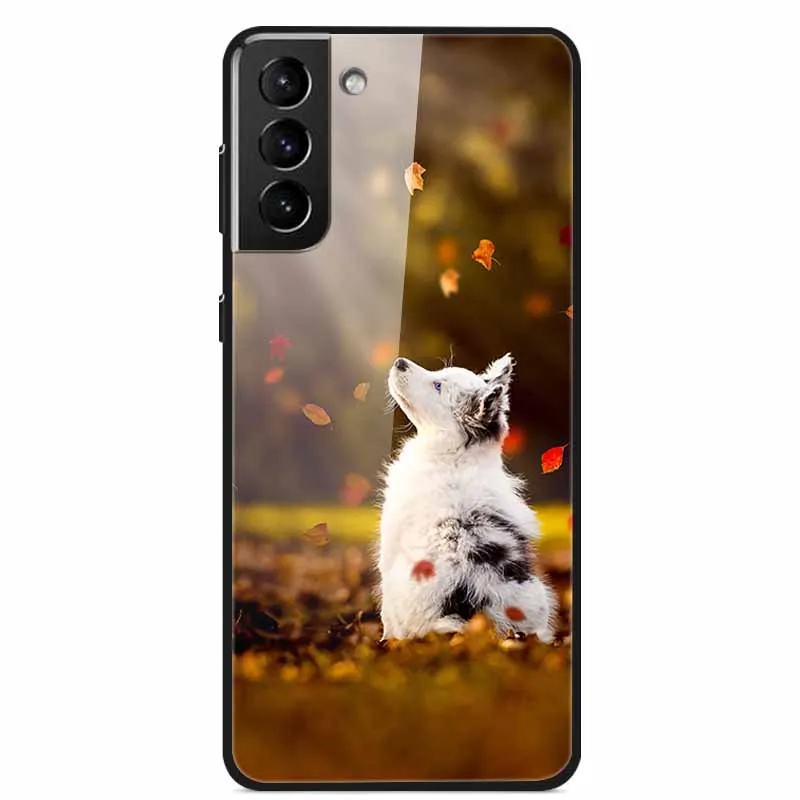 Tempered Glass Phone Cases For Samsung S22 Plus 5G Case Hard PC Back Cover Cases for Samsung Galaxy S22 Ultra 5G S 22 S22Ultra cute samsung cases Cases For Samsung