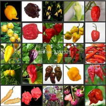 100 шт Высокое качество свежий перец S(горячий чили)-органические овощи 24 вида