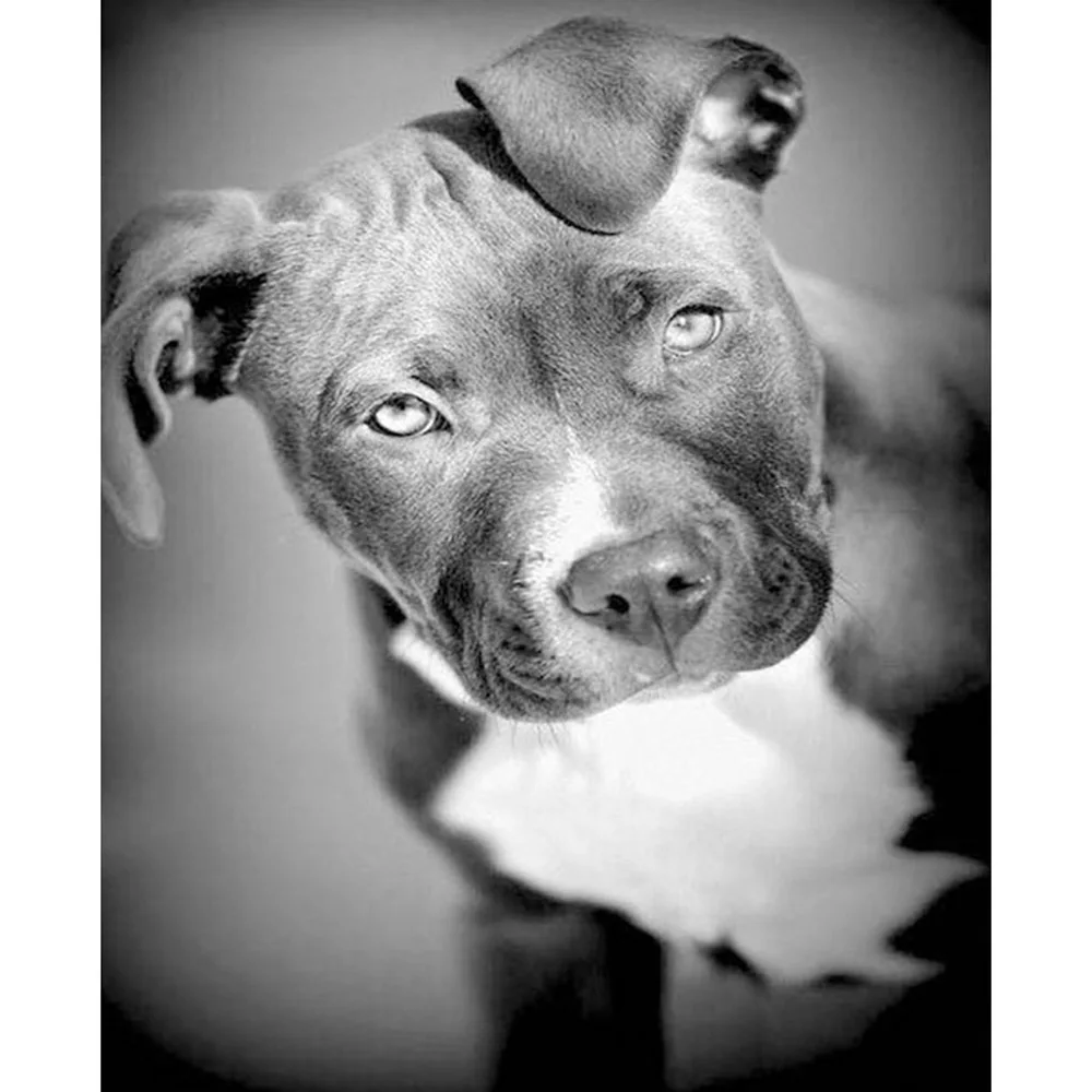 HTB1k9A1aDjxK1Rjy0Fnq6yBaFXaD