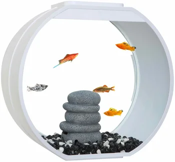 

Aquarium AA aquarium Deco o UPG discretionary 20 liters White