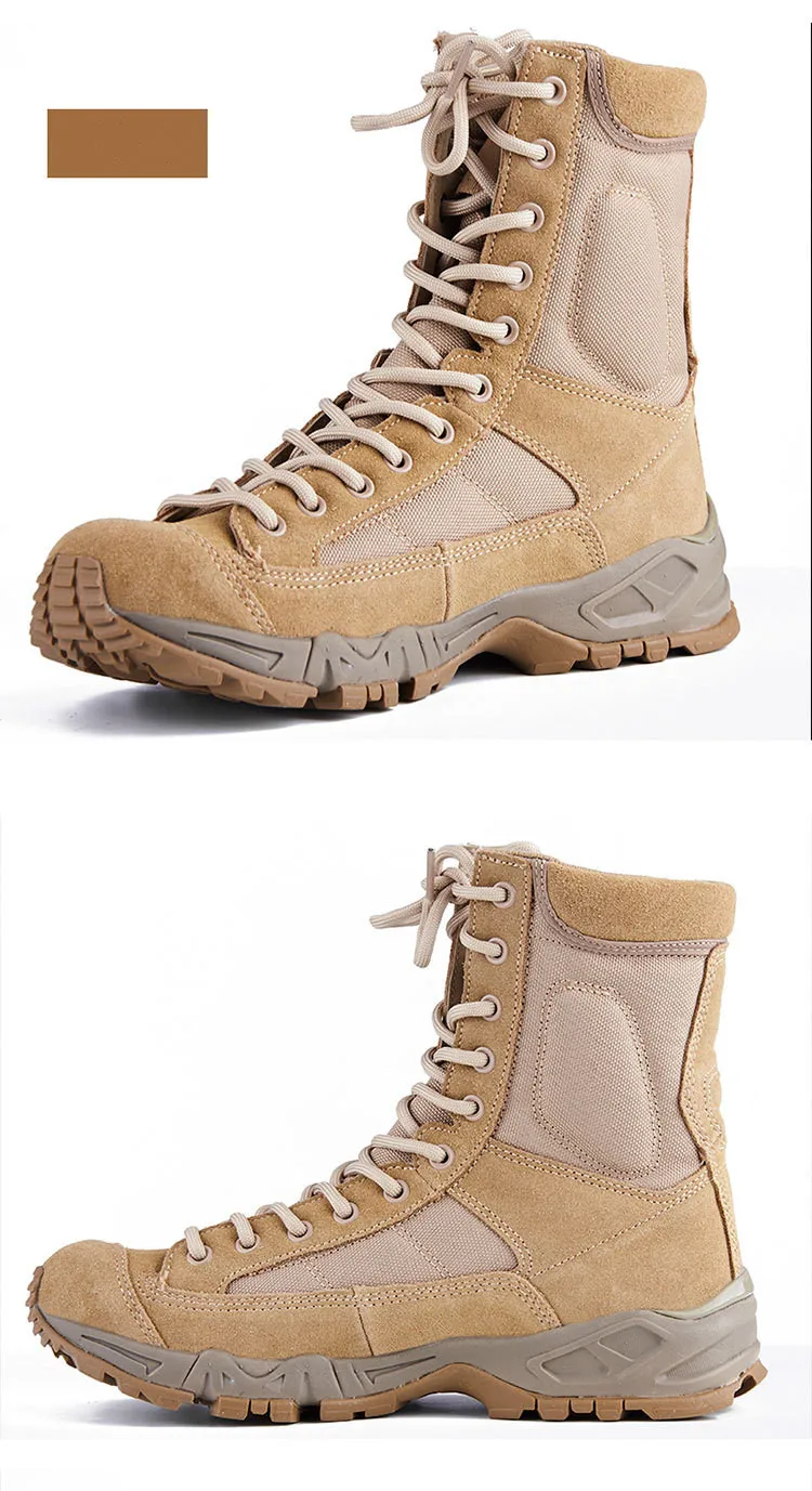 10270674026_1018844976_副本