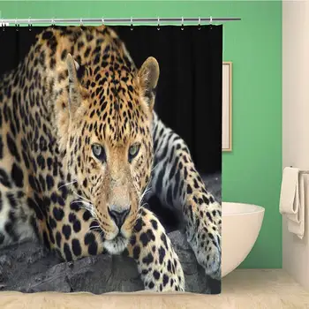 

Bathroom Shower Curtain Yellow Africa Wild Leopard Dark African Angry Animal Attentive Polyester Fabric 66x72 inches Waterproof