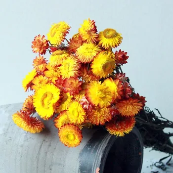 

Multicolor Daisy Dried Flowers Nordic Style Naturally Dried Bouquets DIY Crafts Wedding Supplies Home Decoration
