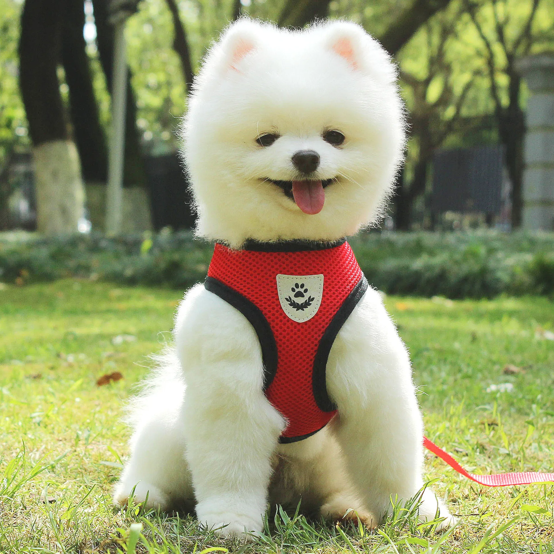 

Mesh Reflective Pet Dog Collar Leash Dog Harness Leash Set for Small Medium Large Dogs Nylon Puppy Dogs Cats Harness Leash Lead