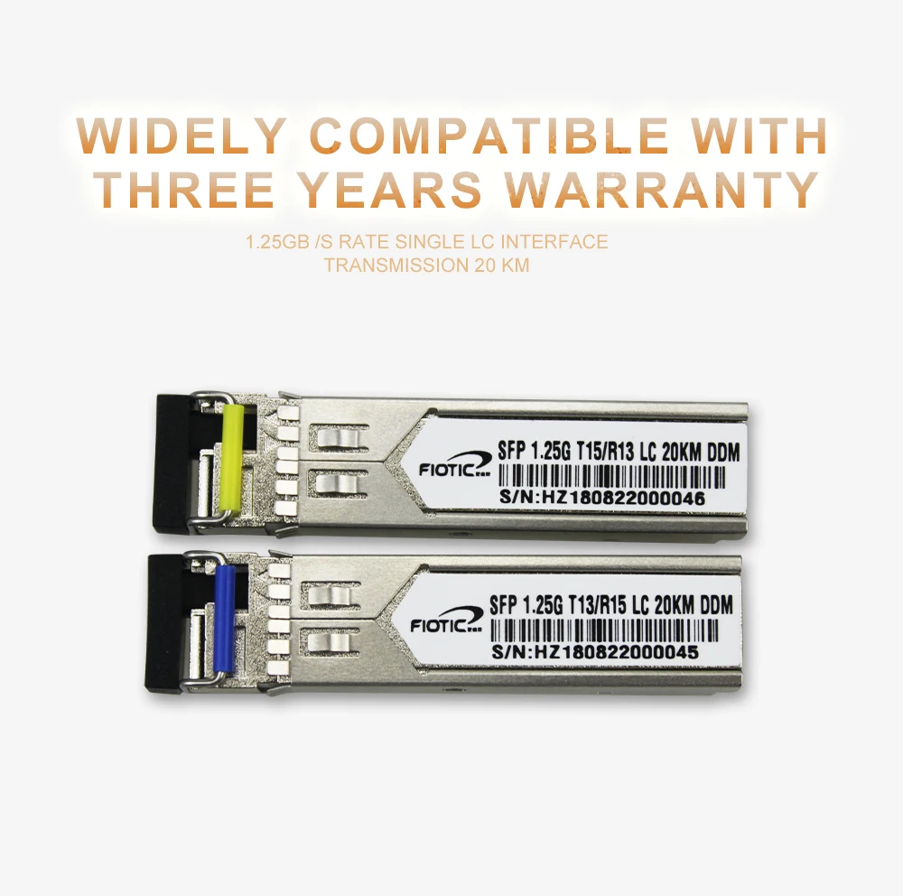 SFP-1_01