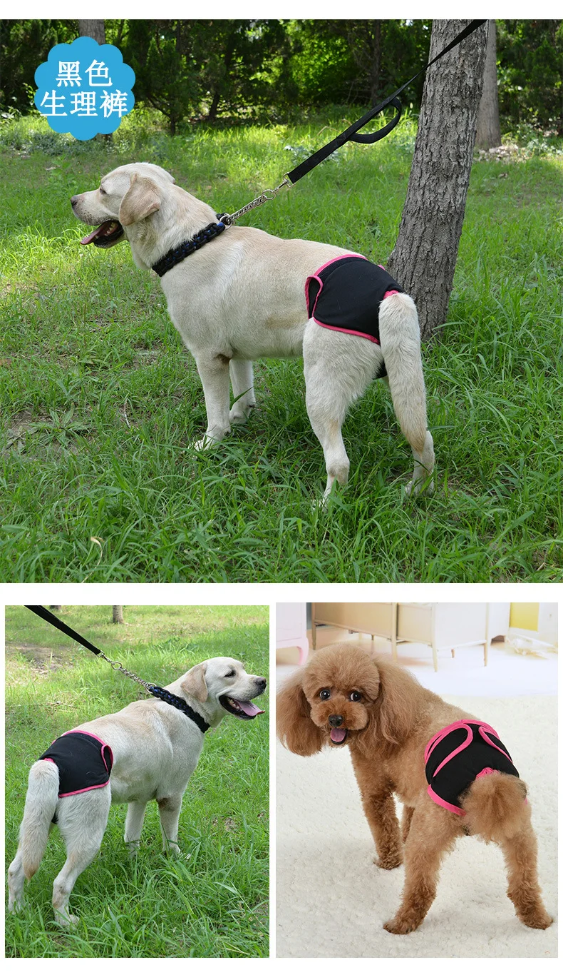 Менструальные трусики для собак женские Canine менструальные трусики для домашних животных физические штаны для собак гигиенические штанишки товары для домашних животных, собаки гигиенические штанишки