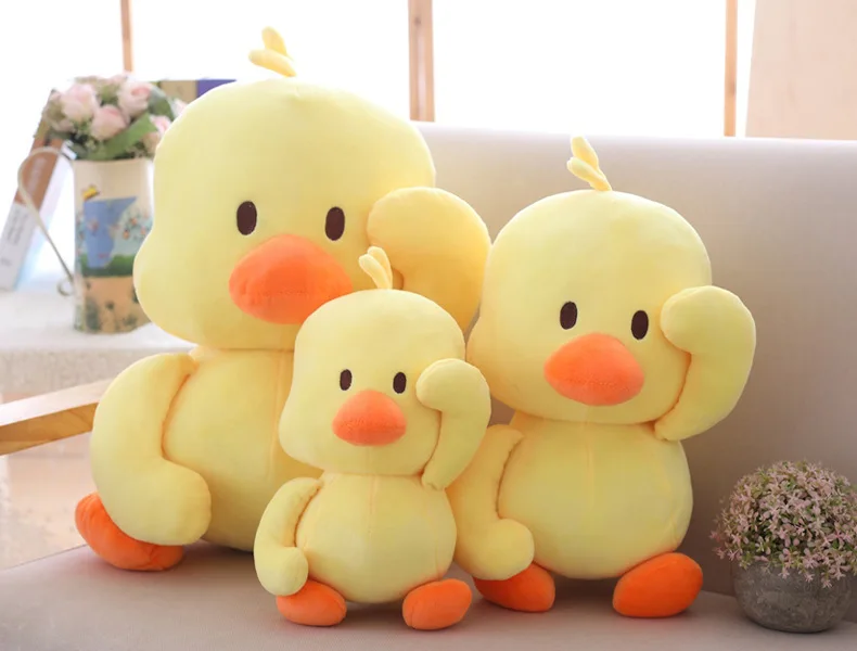 9552830886_617802205