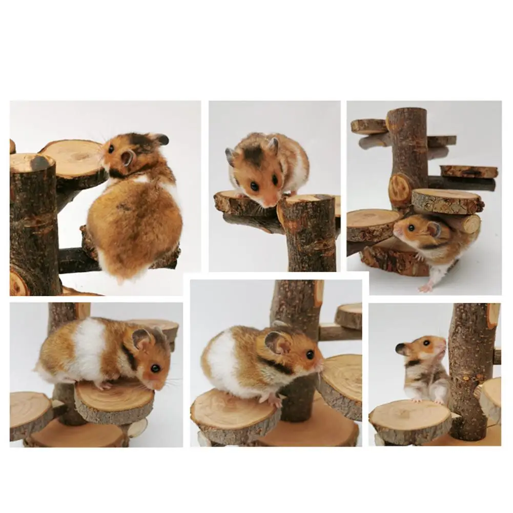 Небольшой лестница для животных Pet игрушка для коренных зубов деревянный Фитнес Аксессуары для скалолазания для небольших хомяков белки шиншиллы кролики