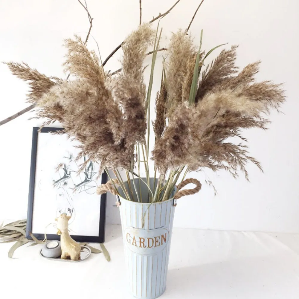 20 шт. натуральная пампасная трава тростники свадебный цветок букет для домашнего декора сушеные цветы трости