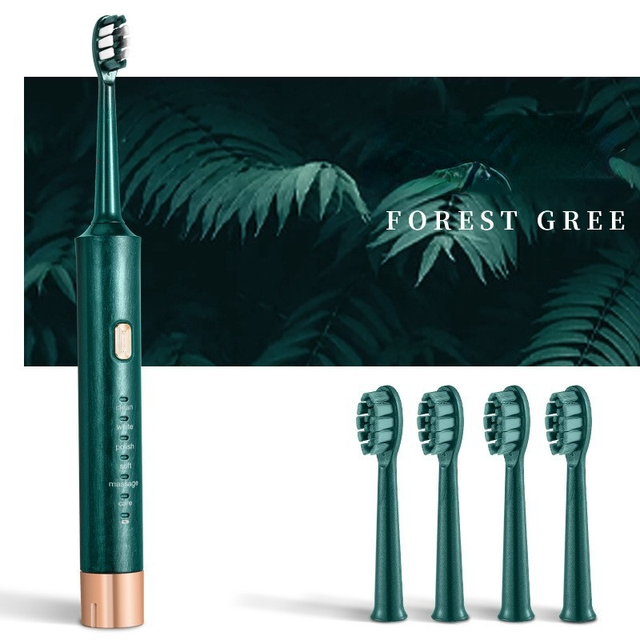 Electric Toothbrush Sonic IPX7 Waterproof Oral Care Dental Tool Replace Head USB Charging Intelligent Electric Toothbrush