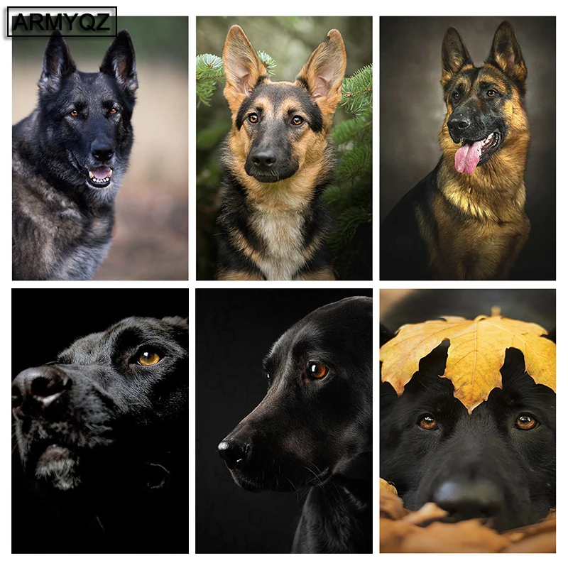 HTB1xTtjagKG3KVjSZFLq6yMvXXaf