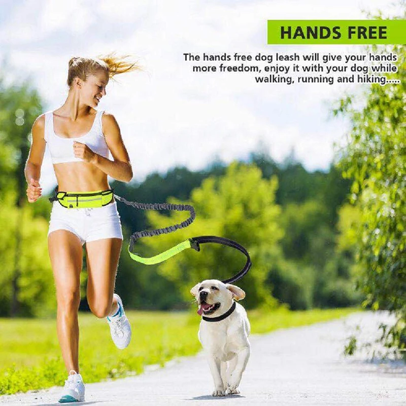 Walking Pets Hands Free Dog Leash with Adjustable Waist Belt Dual Handle Running Leash for Running Hiking Red-Sigle Bungees 