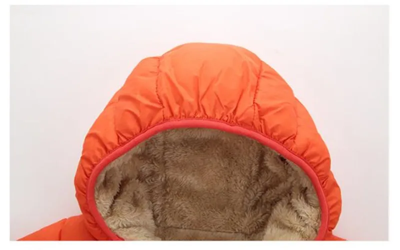 HTB1jzMkllsmBKNjSZFFq6AT9VXaB