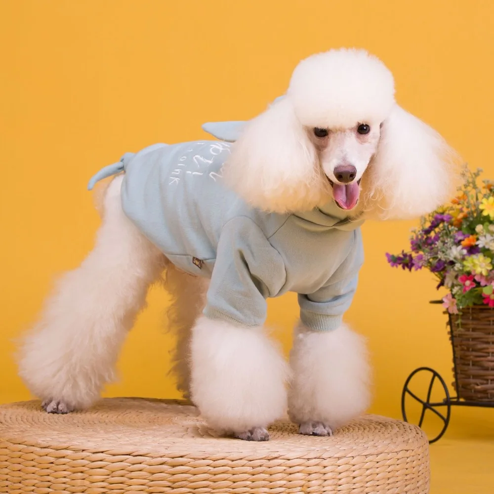 11926928309_1413301333