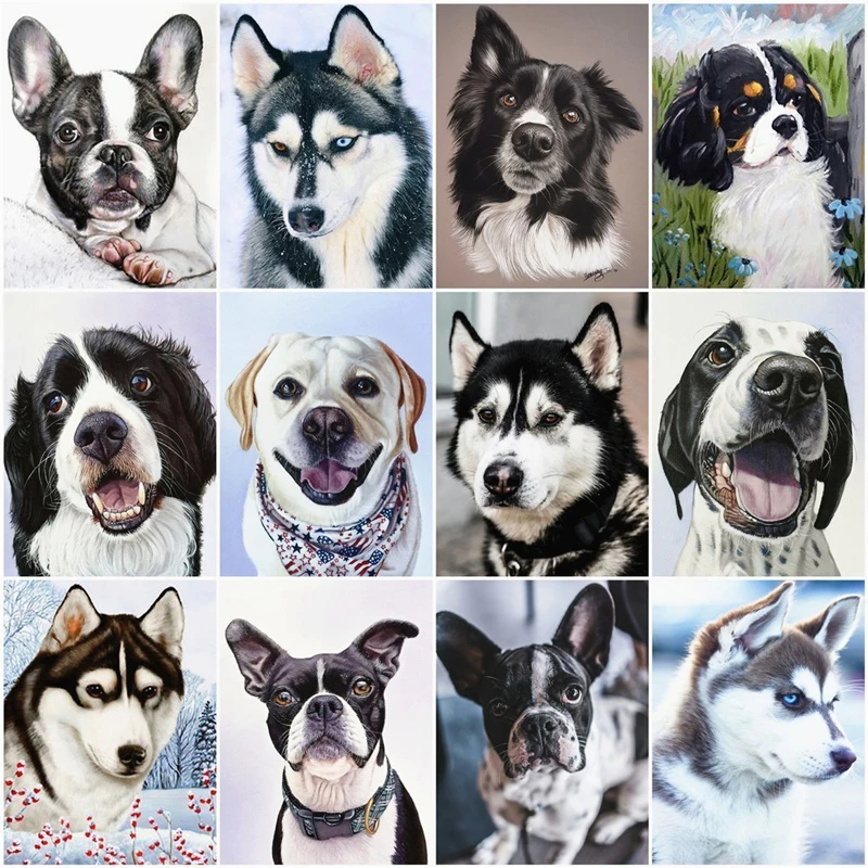 Алмазная 5D картина сделай сам полное покрытие вышивка хаски собака домашний