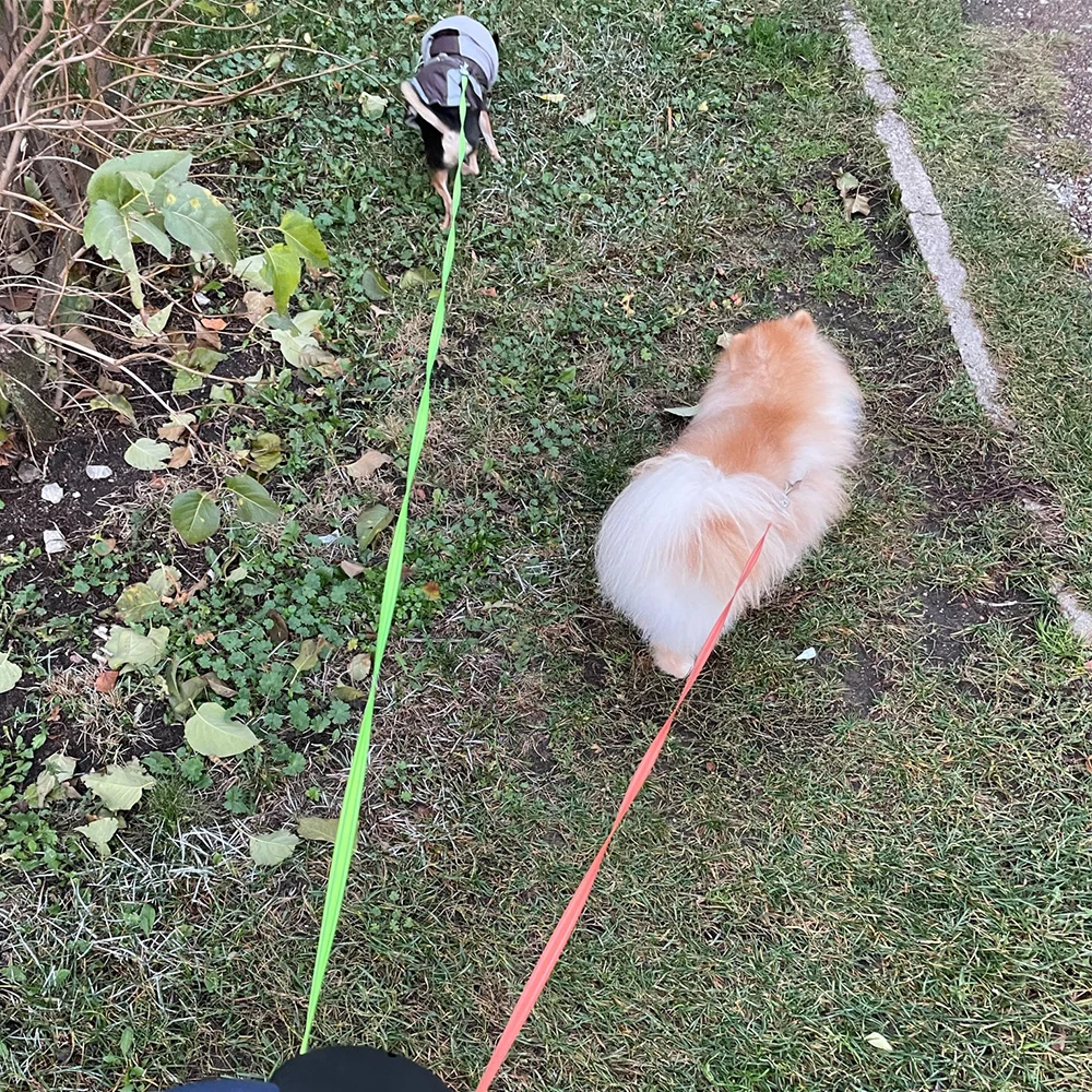 3m Automatic Retractable Dual Dog Leash With Roulette Flashlight Waste Bag Box Extending Dog Leash Rope Dog Walking Leash Leads